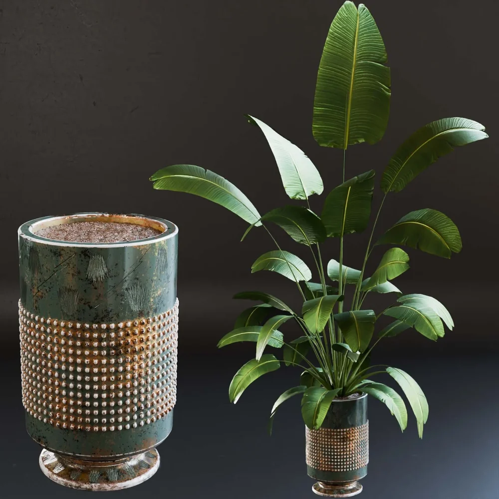 Sj-Strelitzia-Fantasy Pot 05