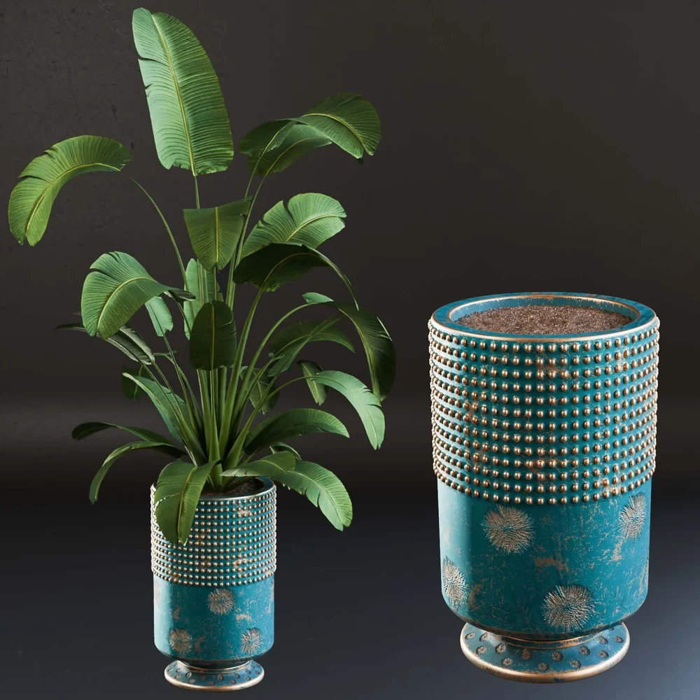 Sj-Strelitzia-Lux Pot 01
