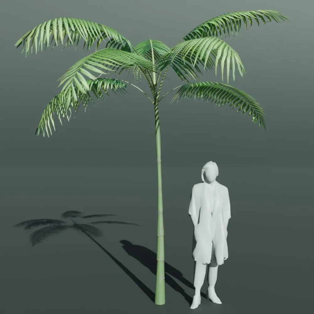 Tropical Palm Tree Small