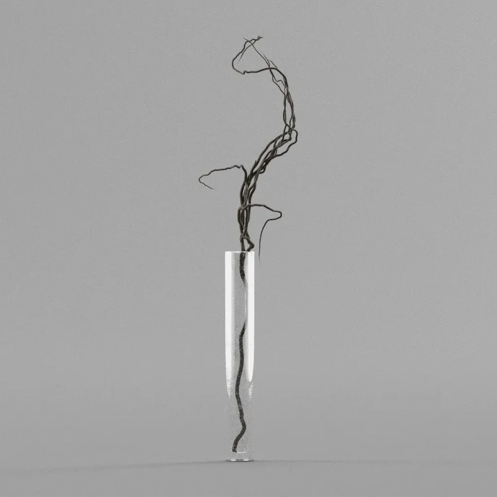 Glass Vase With Dry Plant