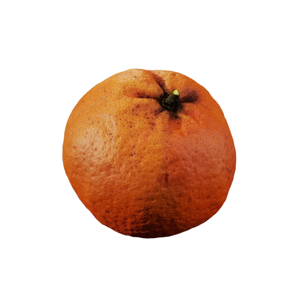 Citrus
