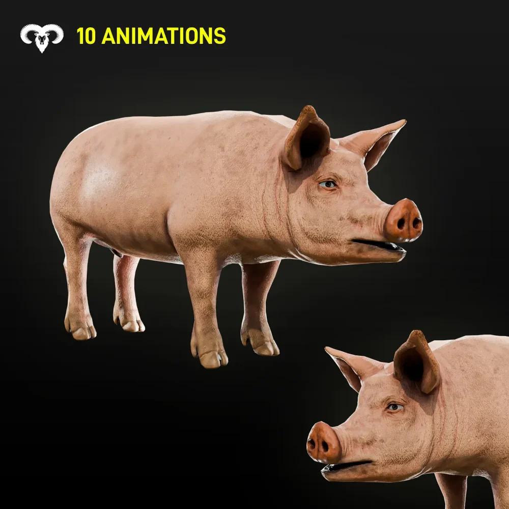 Male Pig Animated Rigged