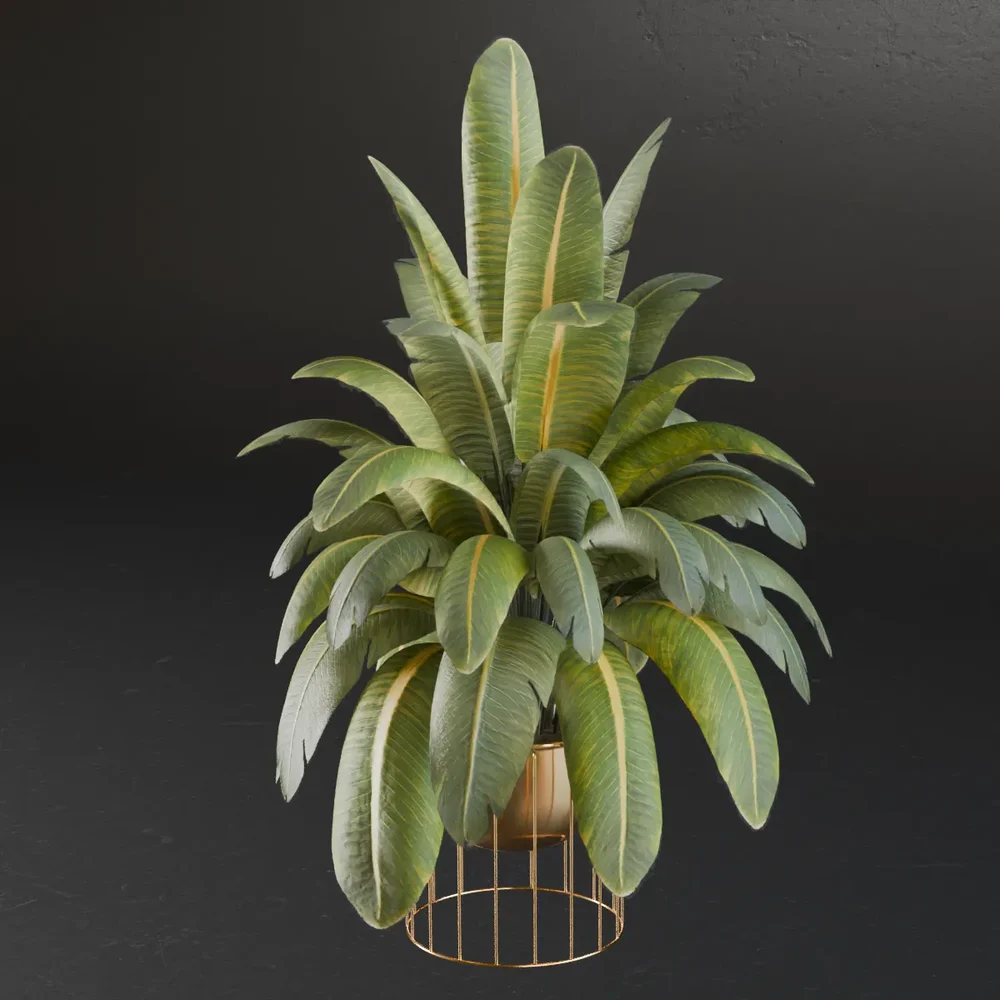 Mk-Indoor Plant 02