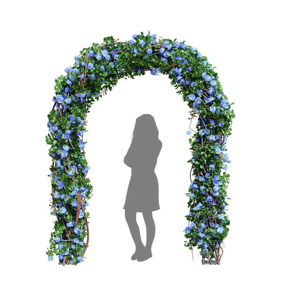Climbing Roses Garden Bow Blue
