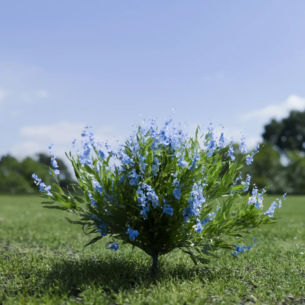 Shurb - Caryopteris Bluebeard Animated