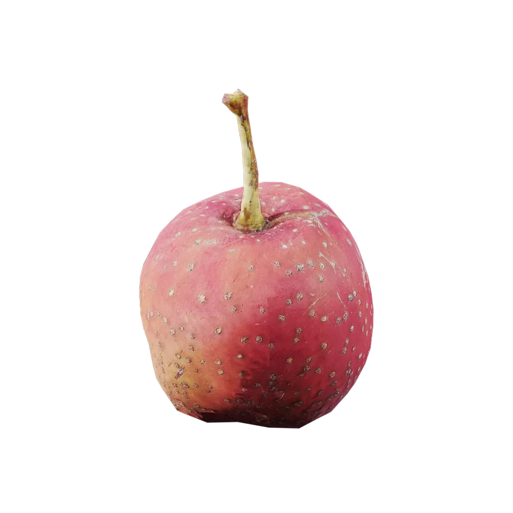 Crataegus Pinnatifida