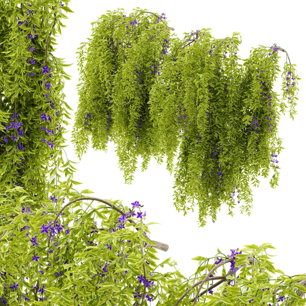 Flower Hanging Wall Plant
