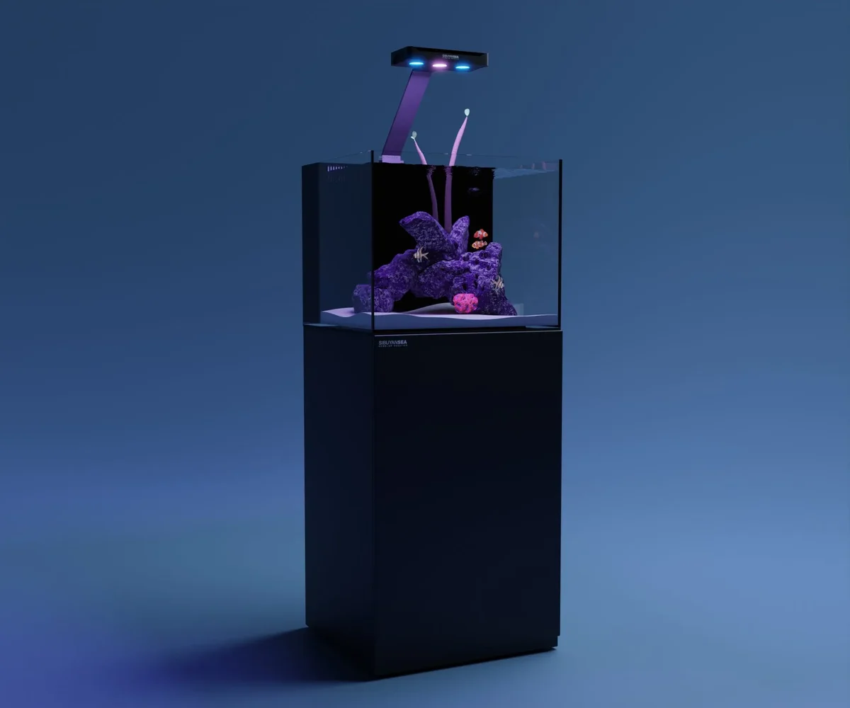 Reef Tank