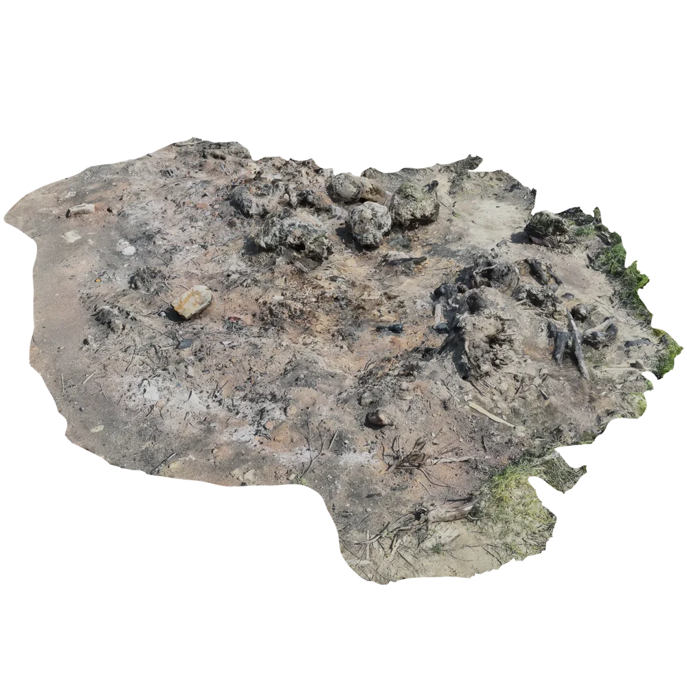 3d Scanned Large Burned Landfield
