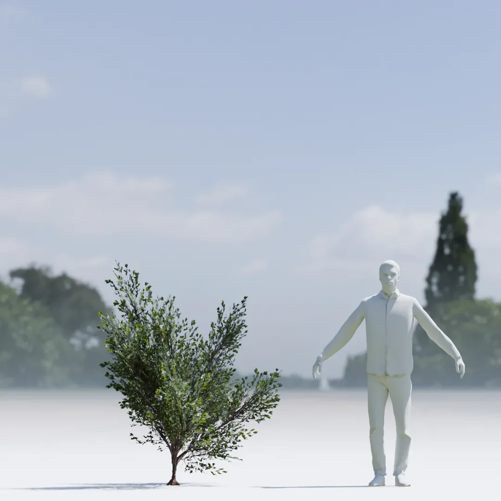 Bush Lowpoly Animated