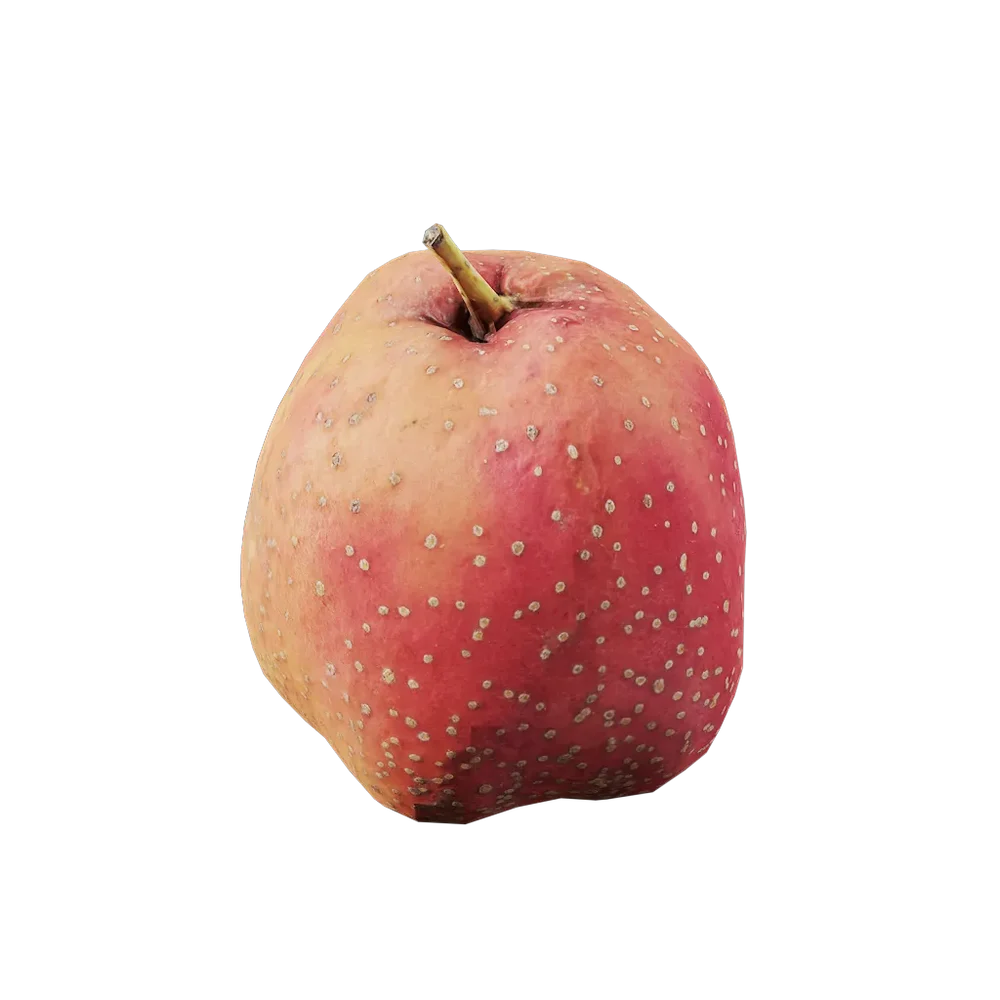 Crataegus Pinnatifida