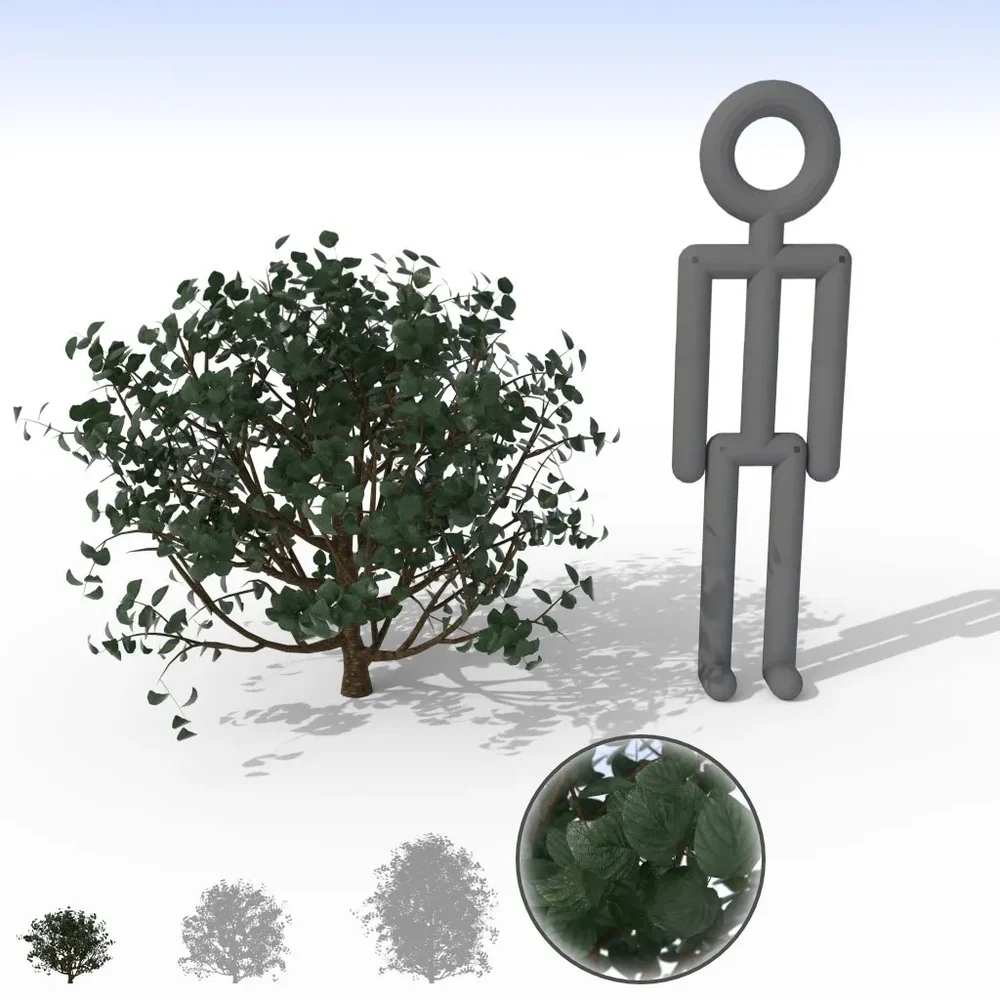 Dark Shiny Leaf Bush - Small