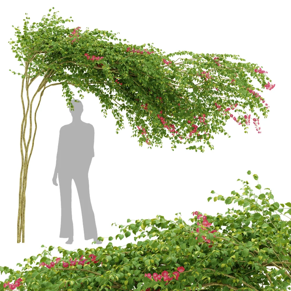 Flower Plant Trellis