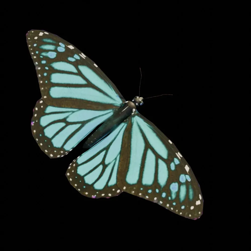 Real Butterfly