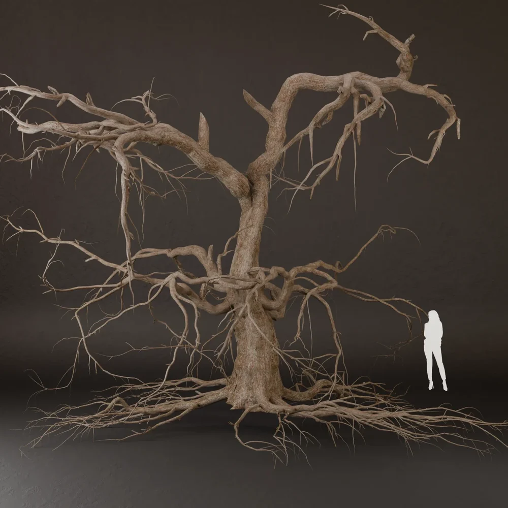Sj-Tree Model With Dead Branches