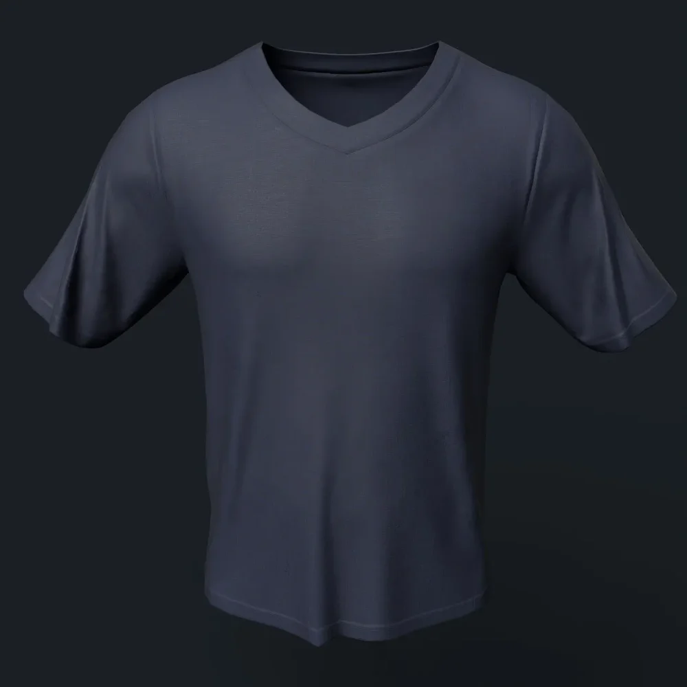 Navy V-Neck T-Shirt