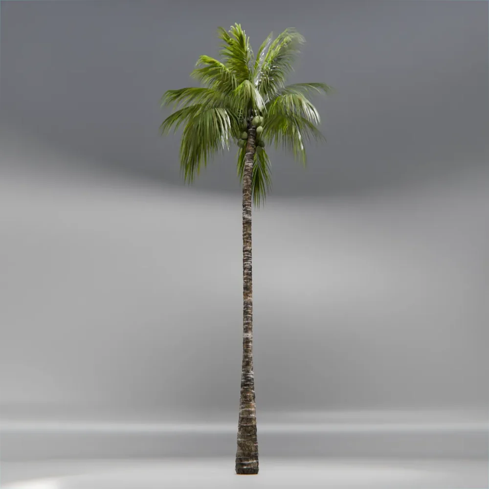 Coconut Tree Rigged And Animated