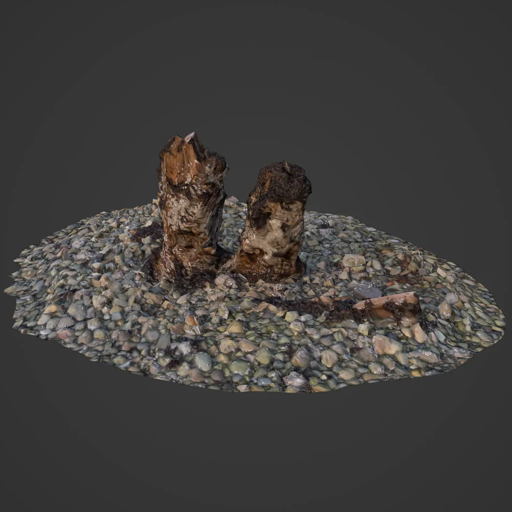 Low Poly Wood On Rocky Shore