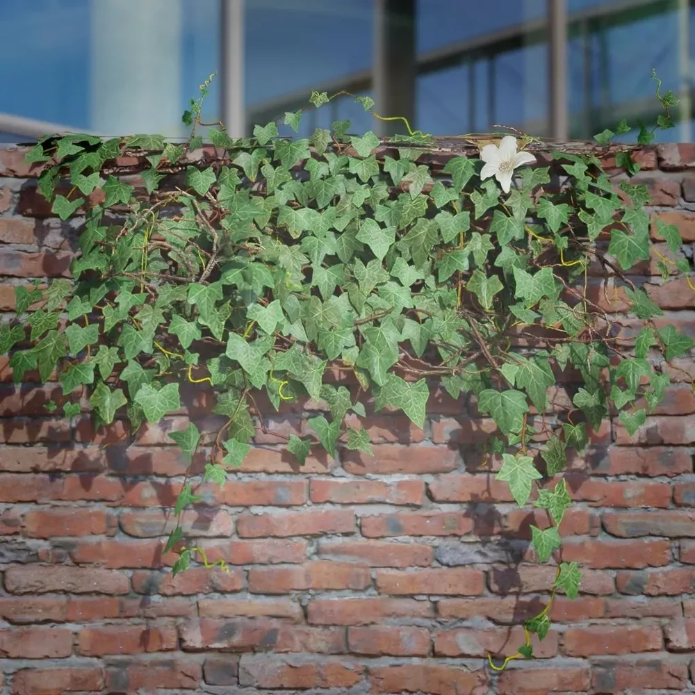 Ivy Creeper Ledge 1m 01 01