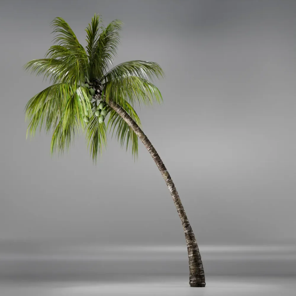 Coconut Tree Rigged And Animated