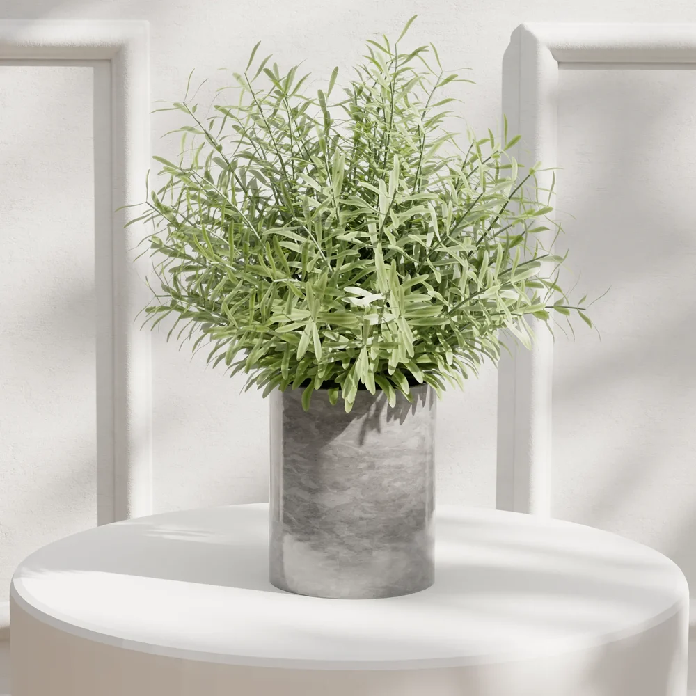 Potted Green Foliage Plant
