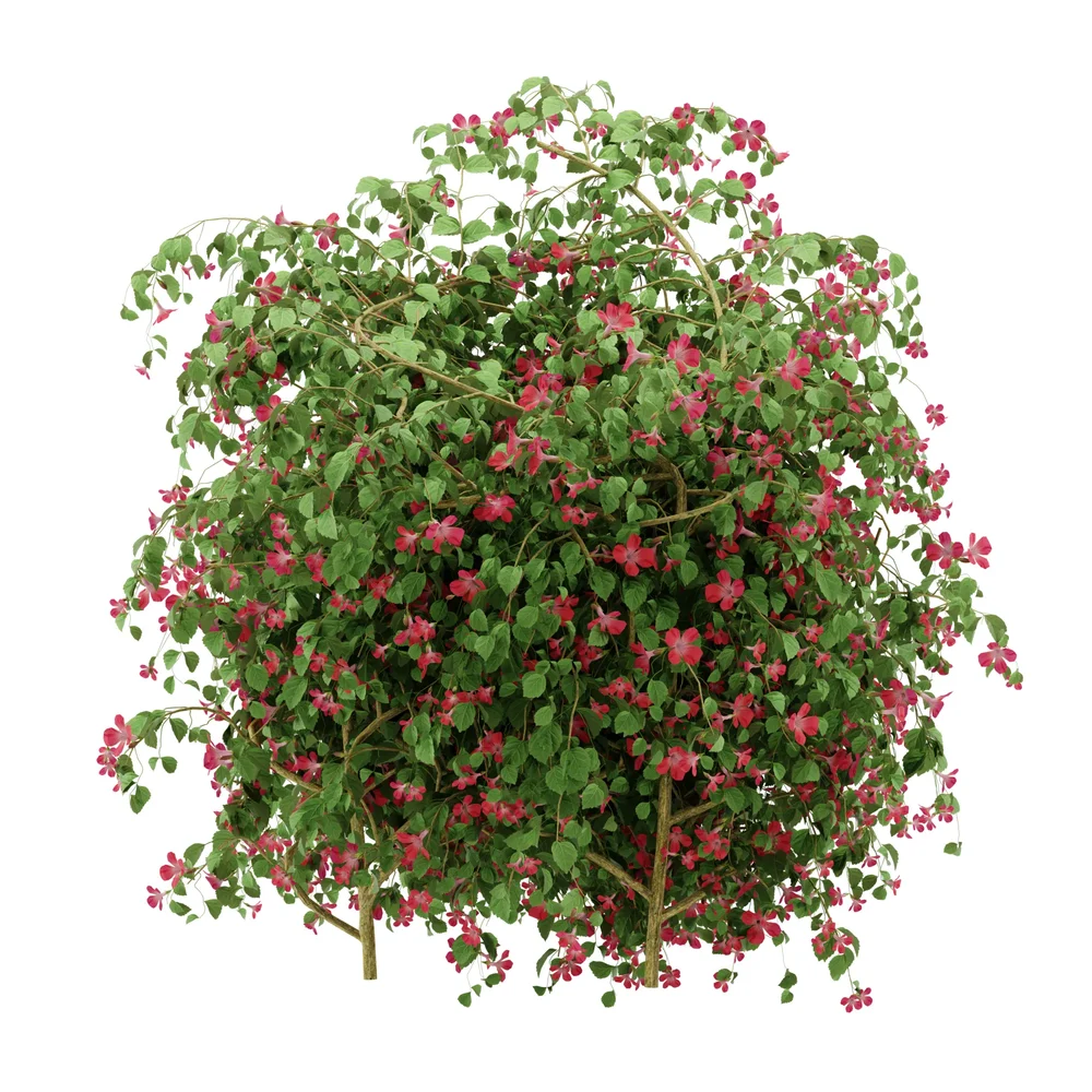 Ivy Flower Column - Chinese Trumpet Vine