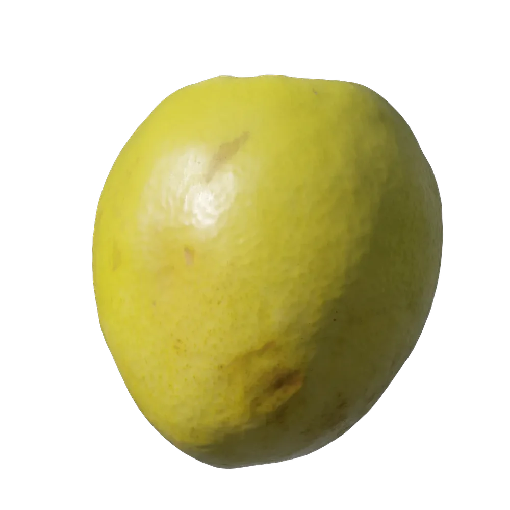 Ziziphus Mauritiana