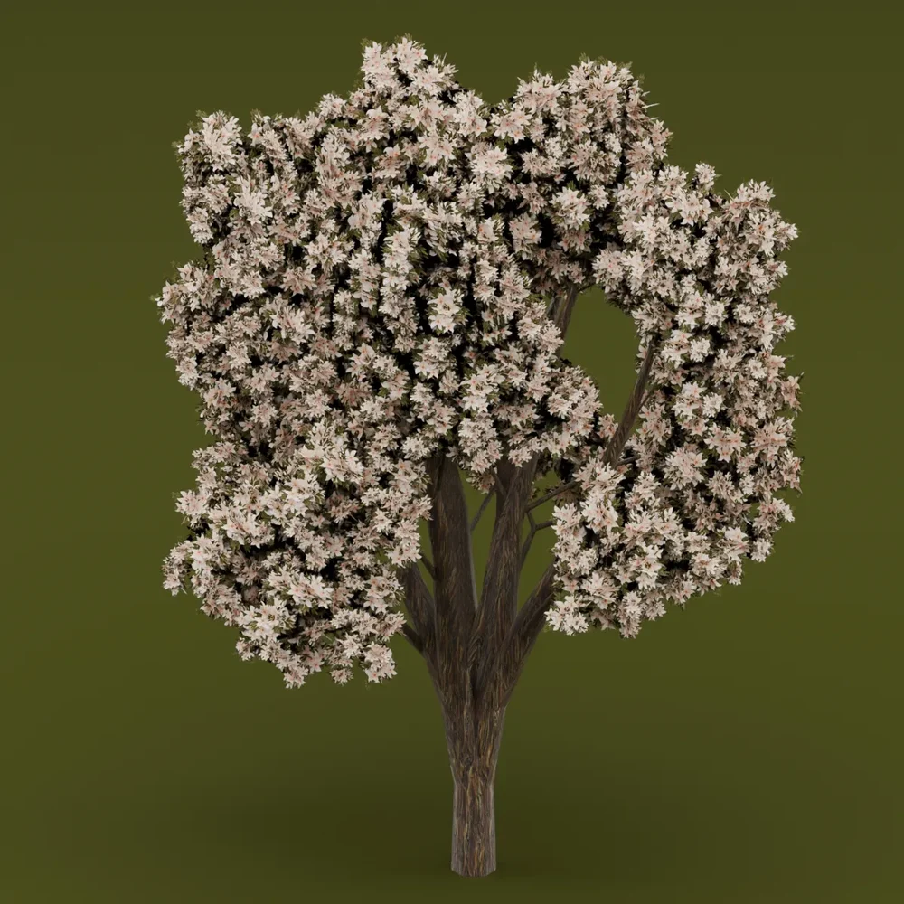 White Flowered-Light Green Leaved Tree