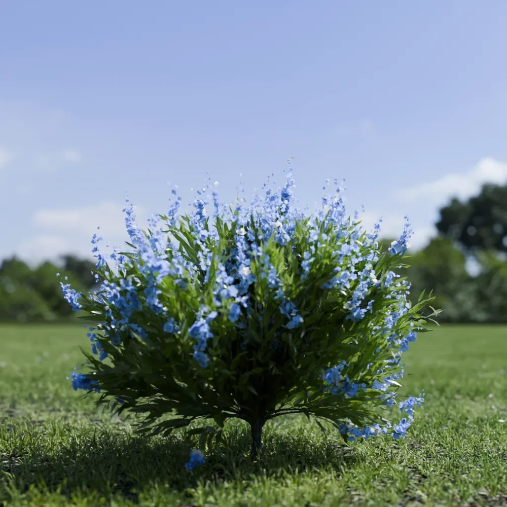 Shurb - Caryopteris Bluebeard Animated