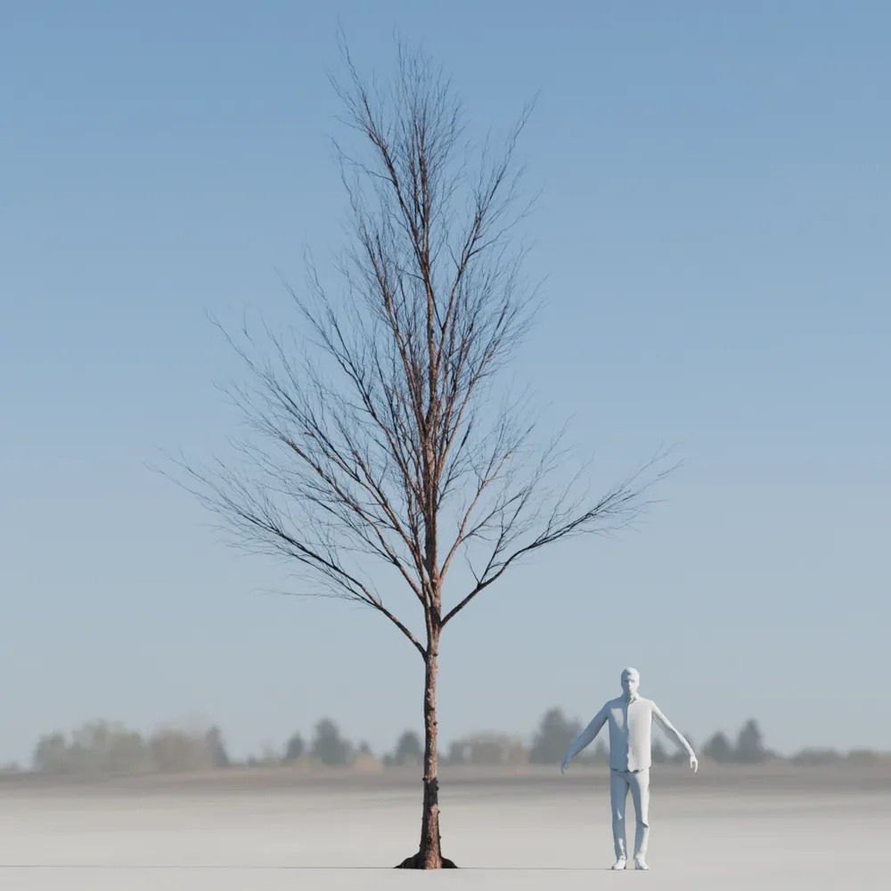 Dry Tree Low Poly Animated