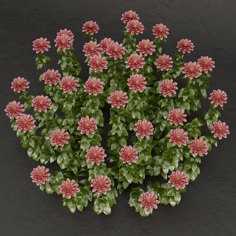 Sj-Radiant Blossom Bush