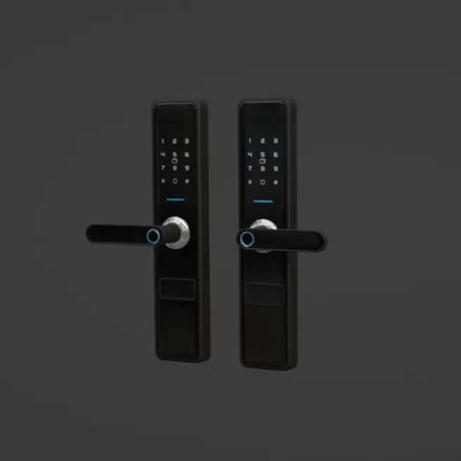 House Smart Door Lock
