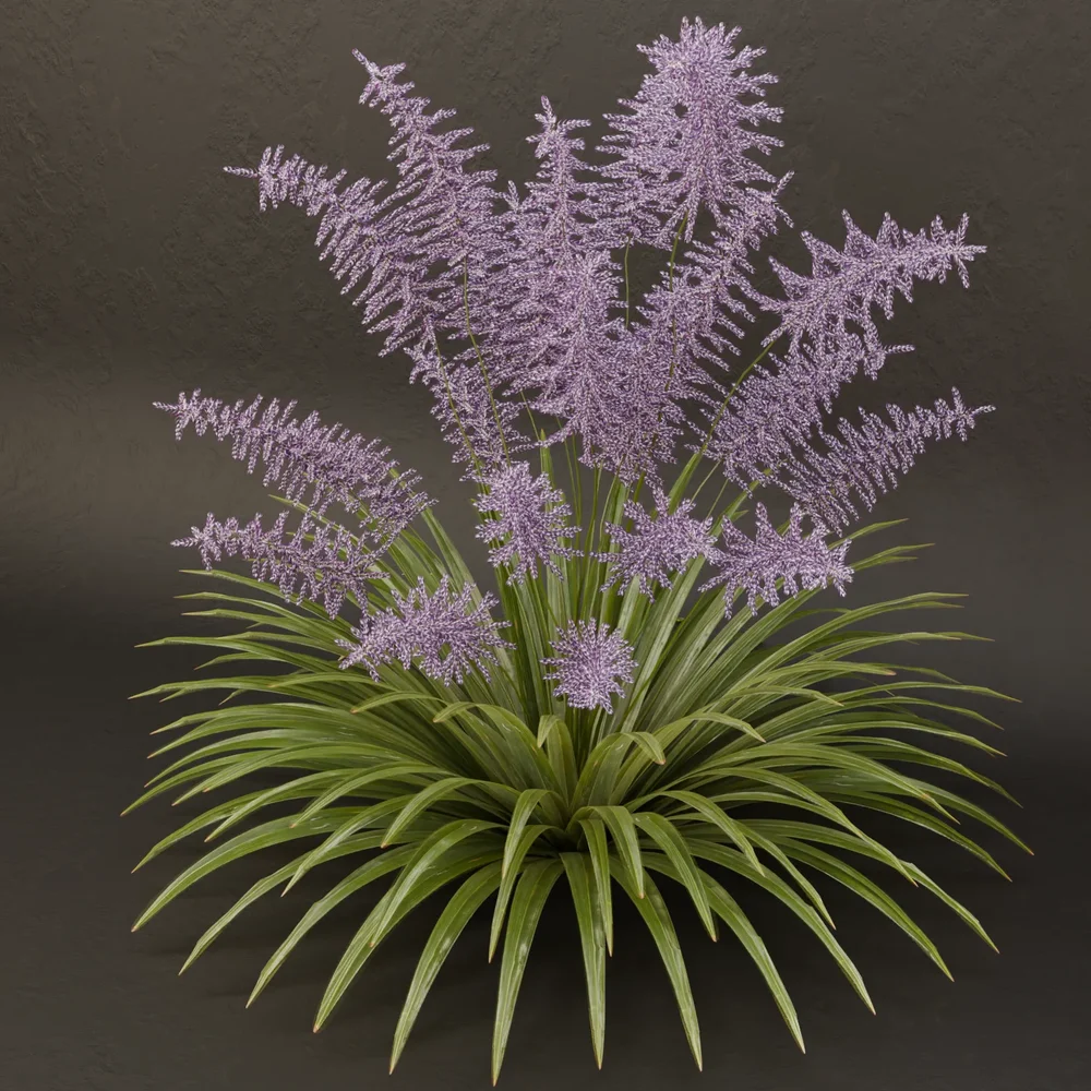 Sj-Frosted Lilac
