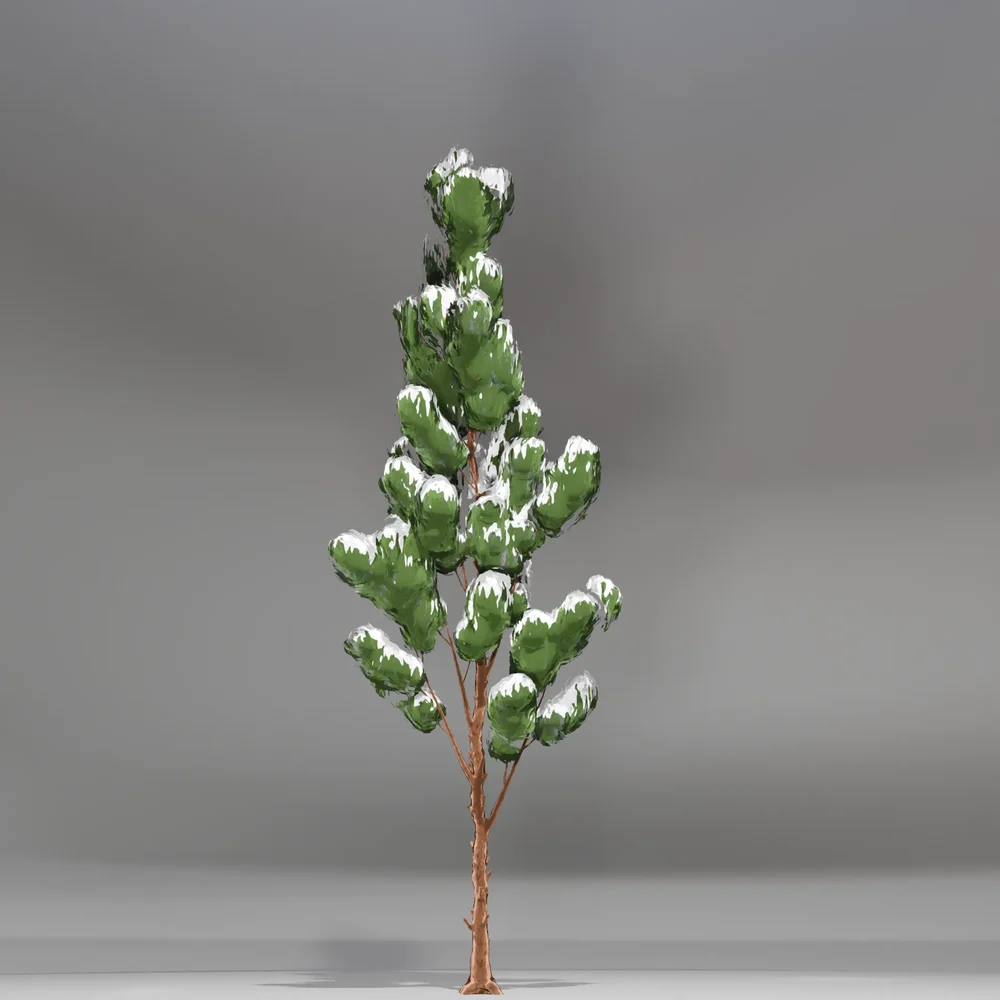 Snow Pine Toon Tree