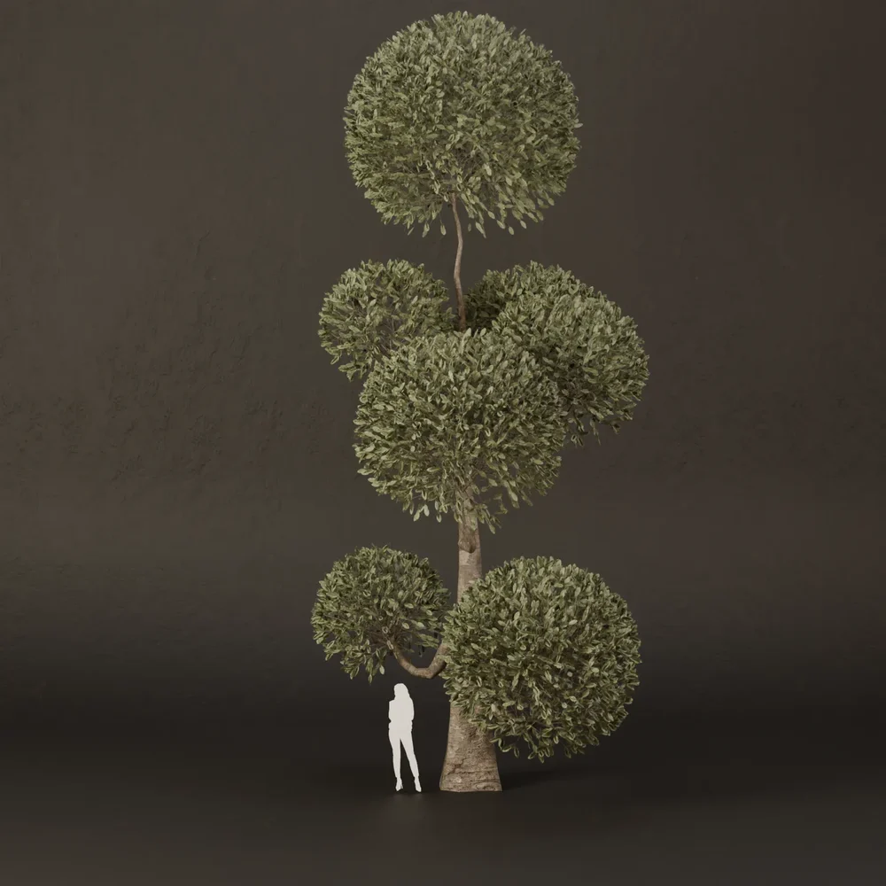 Sj-Ornamental Tree Tower Still