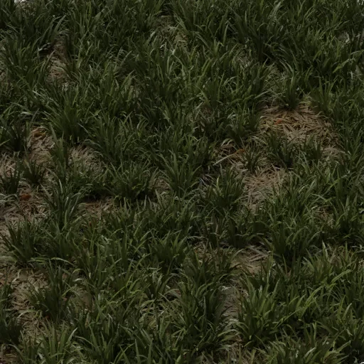 Grass 1x1 M Basic Uncut