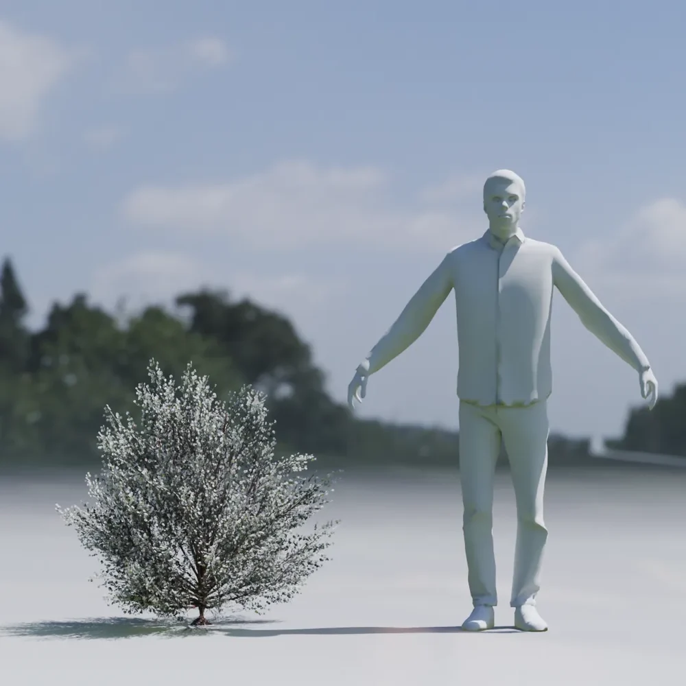Shurb Flower Lowpoly Animated
