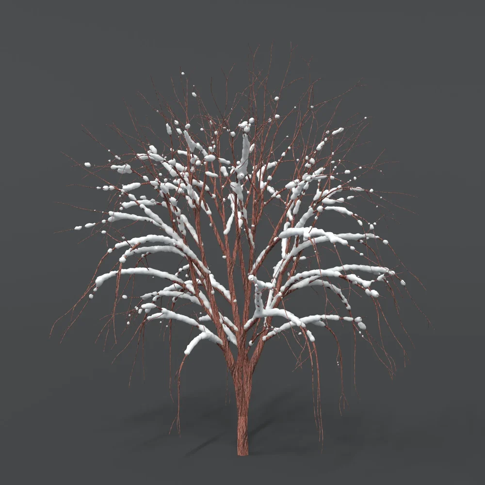 Tree With Snow