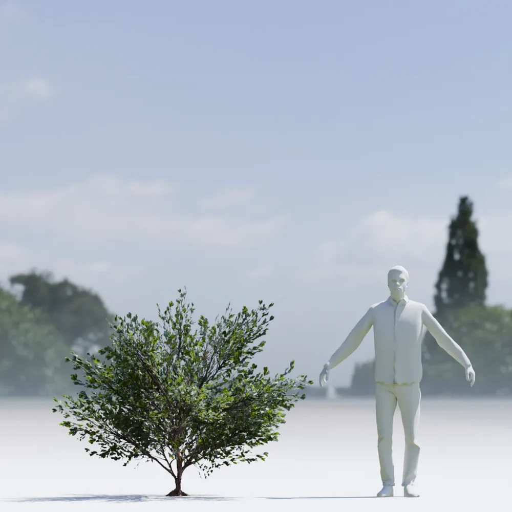 Bush Lowpoly Animated