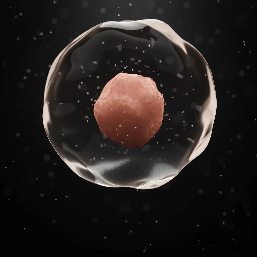 Animated Cell (Loop)