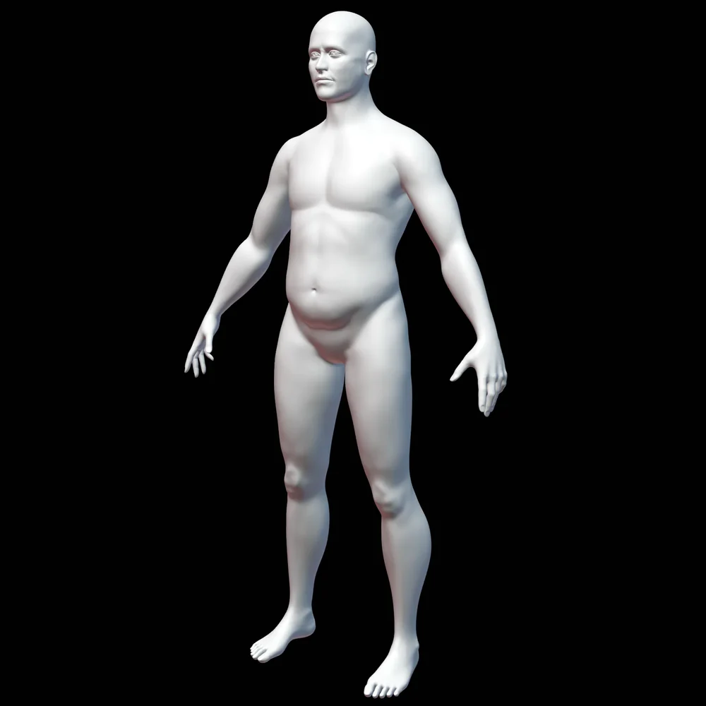 Male Base Mesh - Fat