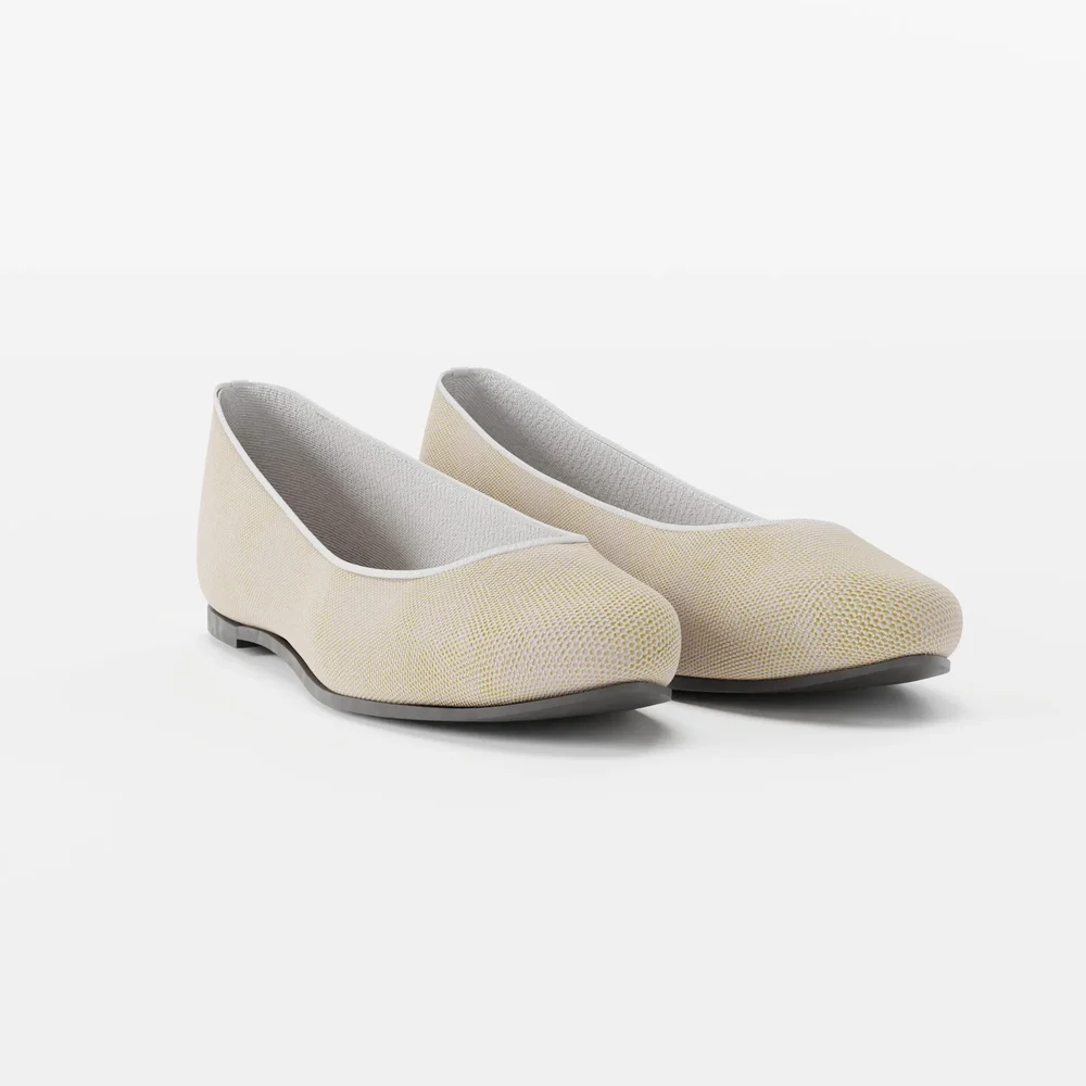 Canvas Ballerinas