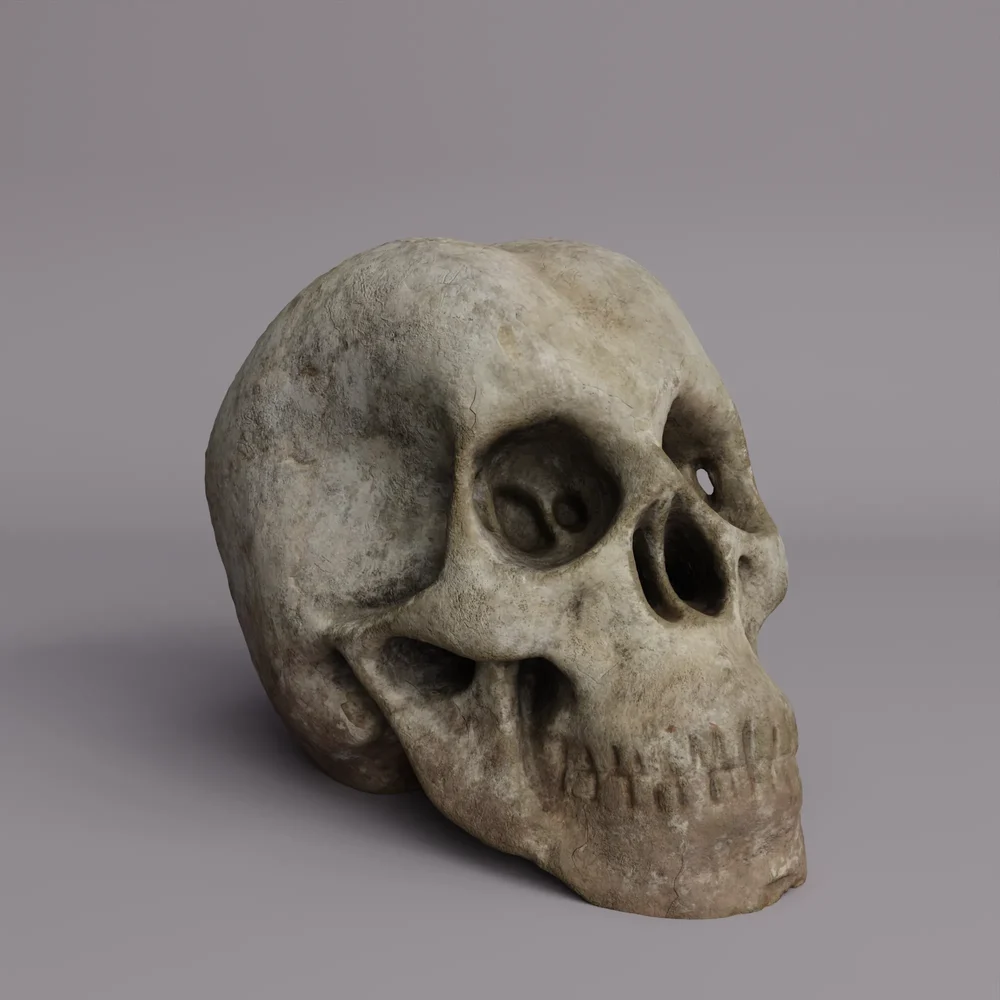 Aged & Dirty Skull