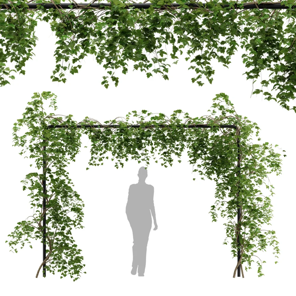Simple Ivy Trellis Plant