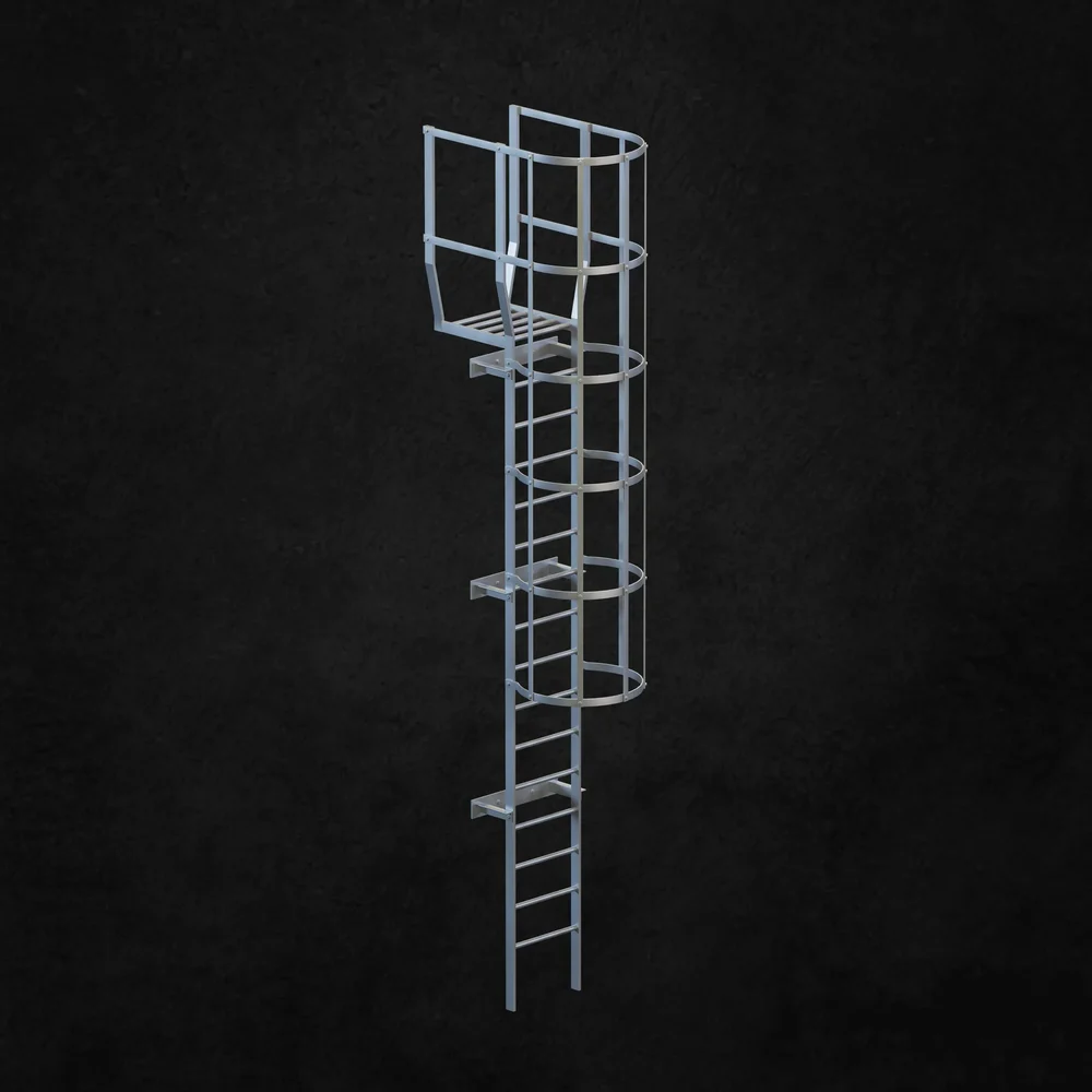 Exterior Ladder