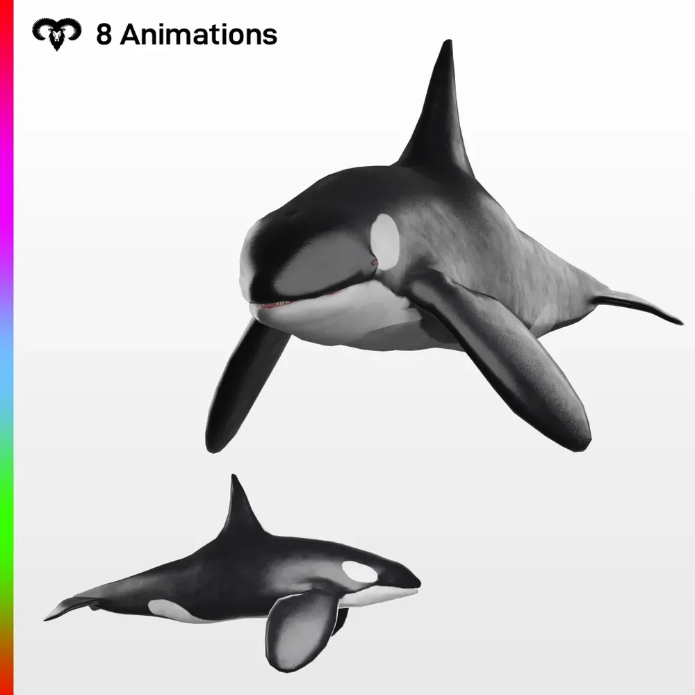 Orca Animated