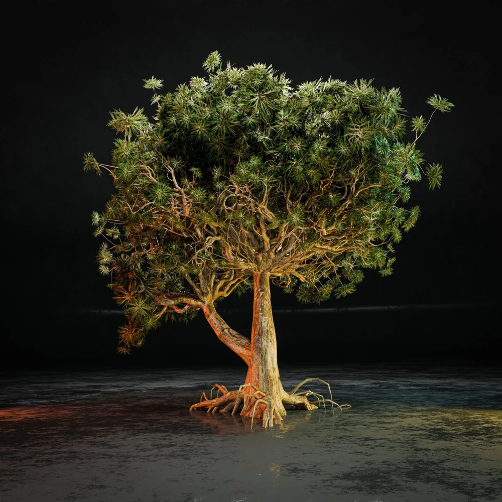 Stylize Old Tree