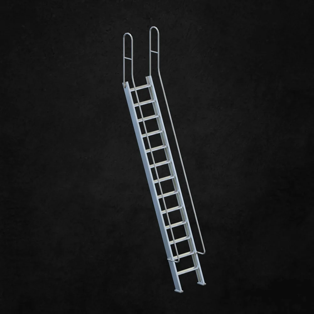 Exterior Ladder