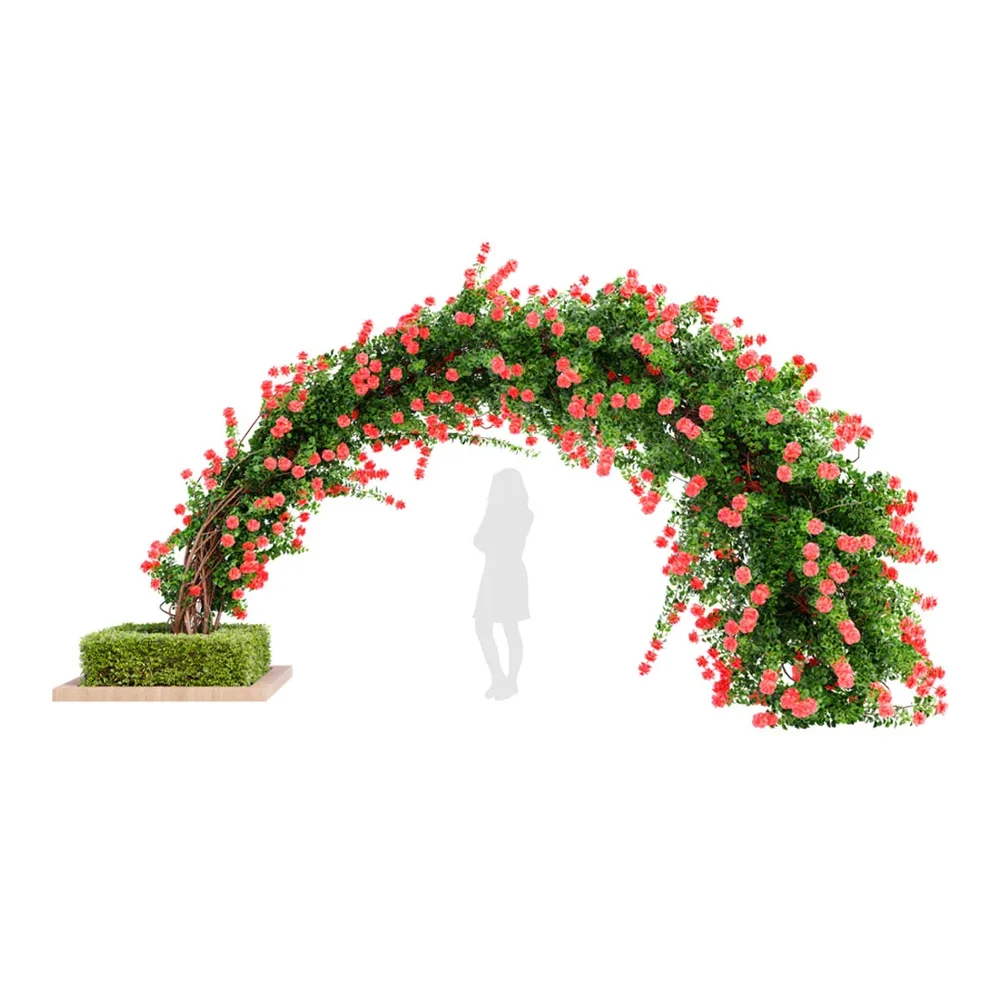 Climbing Roses Garden Bow Grow Red