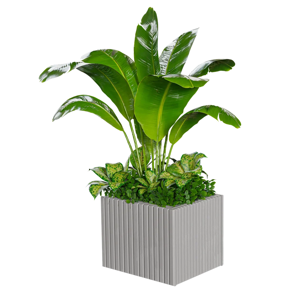 Indoor Plant Box